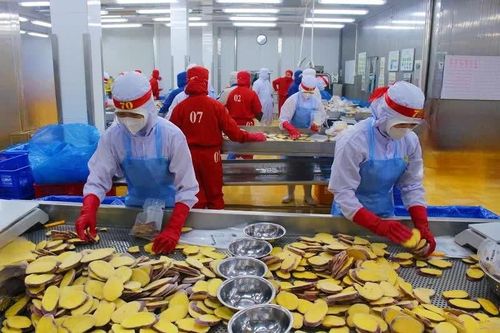 Lâm Đồng: Doanh nghiệp khởi sắc, xuất khẩu bứt phá