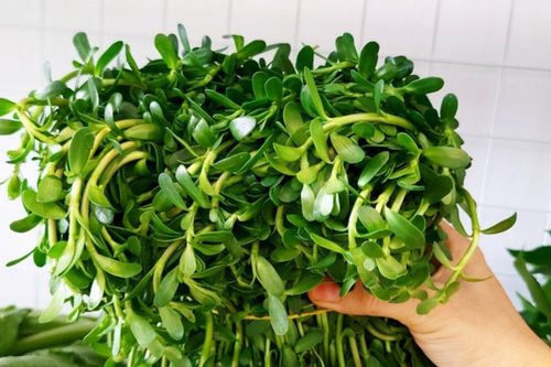 2 loại rau nhiều người chê nhưng hóa ra lại là món quen trong bữa cơm của người Việt
