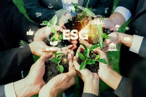 Từ tuyên bố đến thực thi ESG trong doanh nghiệp Việt
