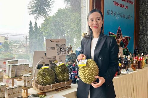 CAEXPO 2025: Cơ hội vàng cho nông sản Gia Lai 'xuất ngoại'