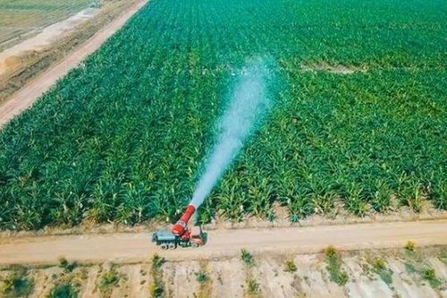 Thaco Agri tiếp tục có lãi
