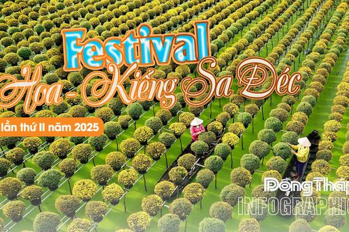 Nhiều hoạt động sẽ diễn ra tại Festival Hoa - Kiểng Sa Đéc lần thứ II năm 2025