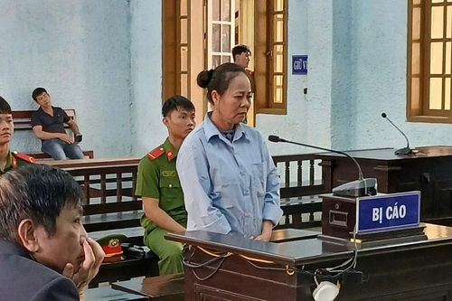 Lừa đảo hơn 4,6 tỷ đồng, 'nữ quái' lãnh 12 năm tù