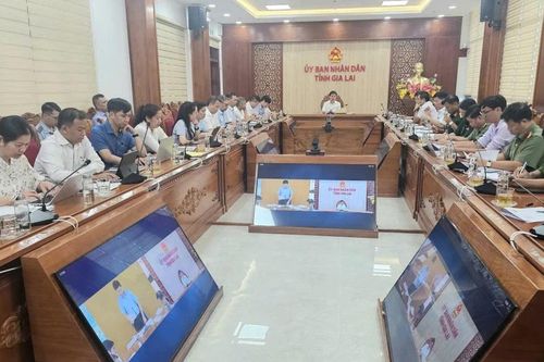 Ban Chỉ đạo SAREX 2025 làm việc với tỉnh Gia Lai
