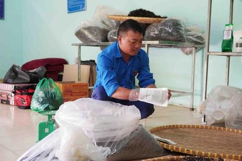 'Báu vật' nơi đại ngàn