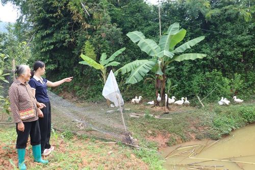 Cao Minh vươn lên từ nội lực