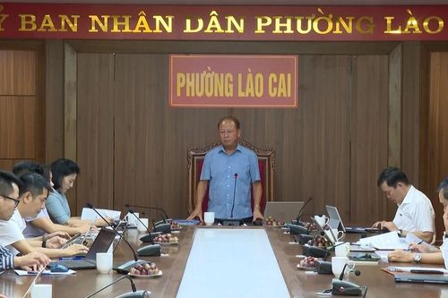 Cần có cơ chế, chính sách đặc thù để phát triển phường Lào Cai
