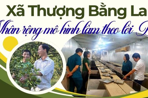 Xã Thượng Bằng La nhân rộng mô hình làm theo lời Bác