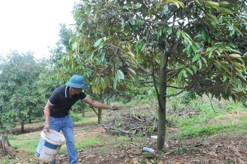 Nhận diện kim loại nặng trong canh tác nông nghiệp
