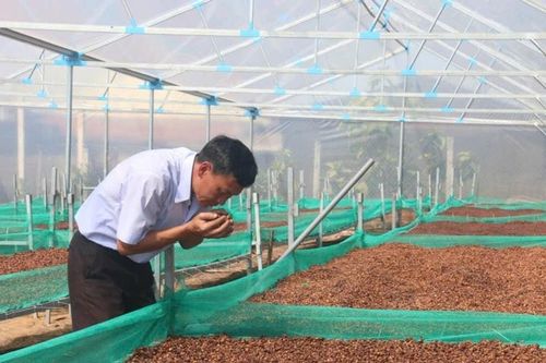 Xây dựng thương hiệu cà phê Di Linh trở thành sản phẩm quốc gia