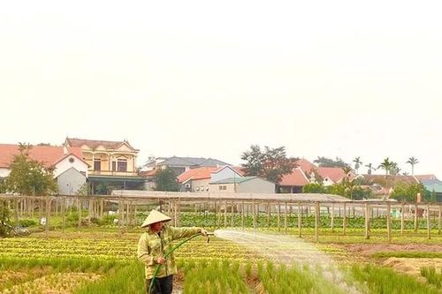 Phát huy vai trò chủ lực của doanh nghiệp thủy lợi trong phát triển nông nghiệp hiện đại