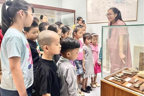 Từ đá hóa thạch đến dữ liệu sống
