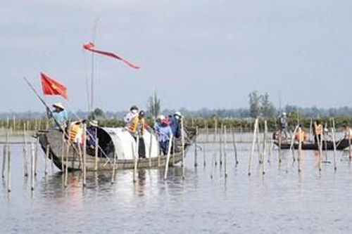 Phát triển bền vững kinh tế biển, đầm phá