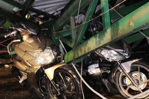 Cây me cổ thụ cao 20m bật gốc, đè sập nhà giữ xe ở TP.HCM