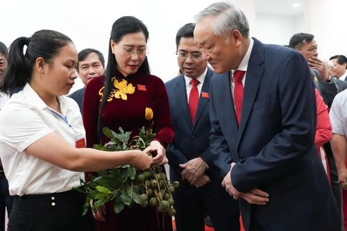 Dấu ấn Quảng Ngãi qua không gian trưng bày thành tựu và sản phẩm đặc sắc