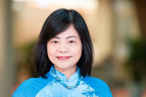 Tăng cường giám sát việc thực hiện pháp luật về phòng, chống bạo lực gia đình