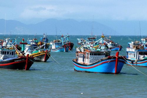 TP. Hồ Chí Minh: Tăng cường xử lý vi phạm, quyết gỡ 'thẻ vàng' IUU