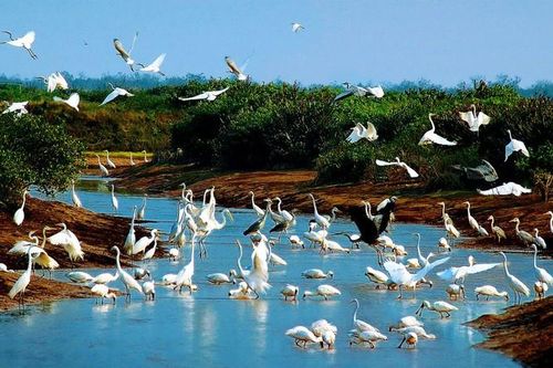 Điểm danh 15 Công viên Di sản ASEAN tại Việt Nam