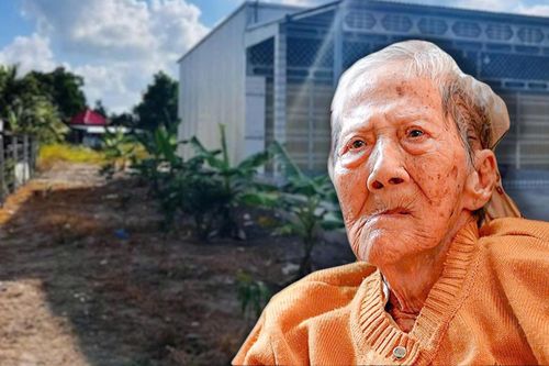 Cô giao liên Tiểu đoàn 307 bị chiếm đất: Trên chỉ đạo, dưới không chấp hành án