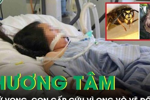 Thương tâm: Mẹ tử vong, con 3 tuổi cấp cứu vì ong vò vẽ đốt