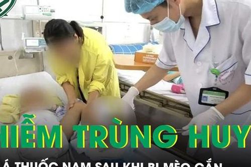 Bé trai 4 tuổi nhiễm khuẩn huyết nặng vì đắp lá thuốc nam sau khi bị mèo cắn