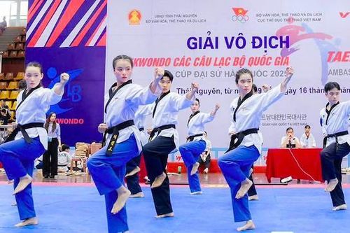 Sau sáp nhập tỉnh thành, giải taekwondo các CLB quốc gia tăng 30% số người tham dự
