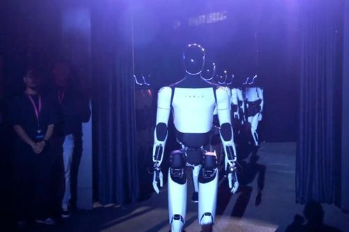Robot hình người có 'cứu' được Elon Musk?