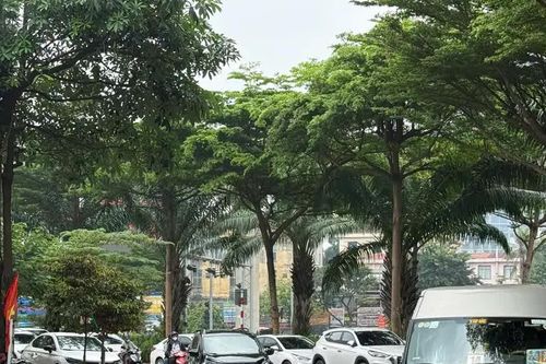 Hà Nội: tiềm ẩn nguy cơ mất an toàn giao thông trên đường Bưởi