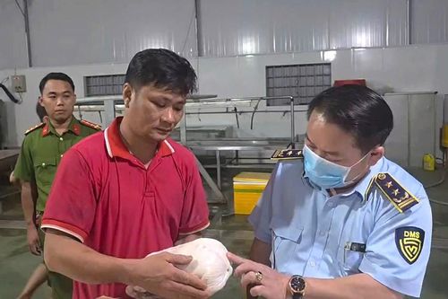 Gia Lai: Phạt 90 triệu đồng hộ kinh doanh lưu trữ hơn 100 tấn thịt lợn không nguồn gốc
