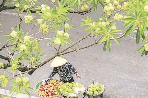 Hương mùa thu