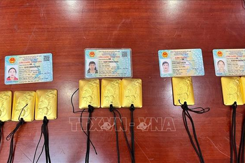 Triệt phá đường dây vận chuyển vàng trái phép qua biên giới
