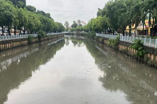 Vì sao kênh Nhiêu Lộc - Thị Nghè cạn nước giữa mùa mưa?