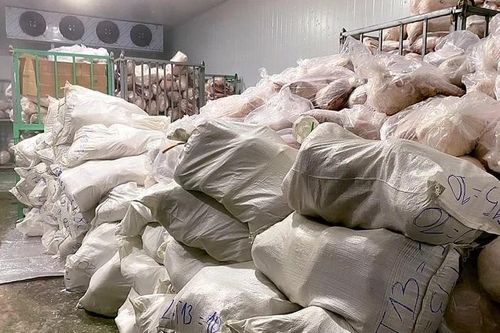 Phạt 90 triệu cơ sở kinh doanh thịt lợn không rõ nguồn gốc ở Gia Lai