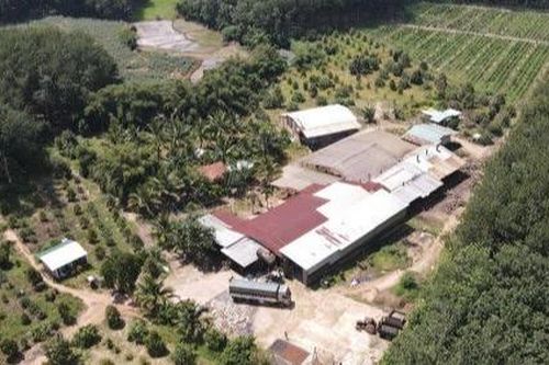 Kiểm tra, lập biên bản một số xưởng cao su tự phát tại tỉnh Quảng Ngãi