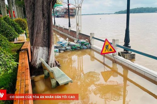 Cần Thơ: Triều cường vượt mức báo động 3