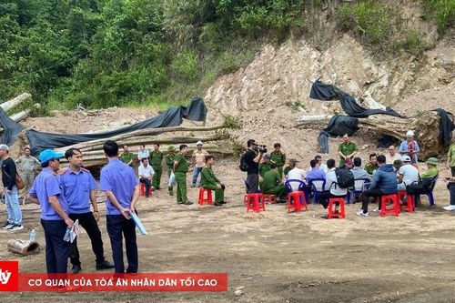 Khởi tố Giám đốc Ban quản lý rừng phòng hộ Vĩnh Thạnh