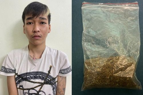 Mở rộng điều tra, bắt giữ đối tượng cung cấp ma túy 'tobaco' tại Vân Đồn