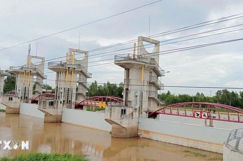 An Giang vận hành xả, điều tiết lũ cho vùng Tứ giác Long Xuyên
