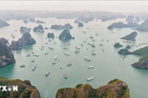 Quảng Ninh: Nâng cao chất lượng sản phẩm du lịch trên vịnh Hạ Long