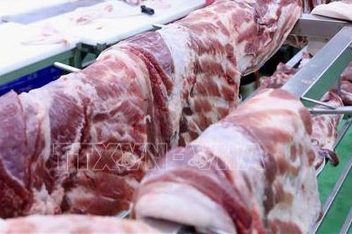 Phạt một cơ sở ở Gia Lai kinh doanh thịt lợn không rõ nguồn gốc