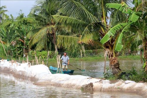 Sạt lở kết hợp triều cường gây ảnh hưởng đời sống người dân