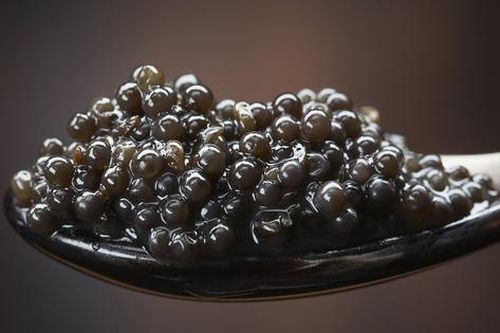 Thứ xưa tưởng vứt đi, nay 'lên đời' thành đặc sản xa xỉ giá 3 tỷ đồng/kg