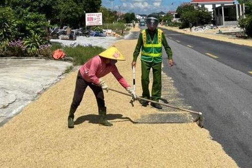 Phơi lúa ngoài đường gây hậu quả nghiêm trọng có thể bị phạt tù