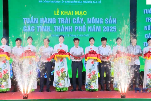 Kết nối tiêu thụ trái cây và nông sản 2025