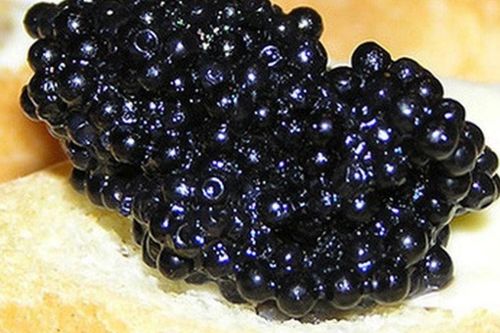 Món ăn nhìn tưởng thứ bỏ đi nhưng lại có giá 3 tỷ đồng/kg