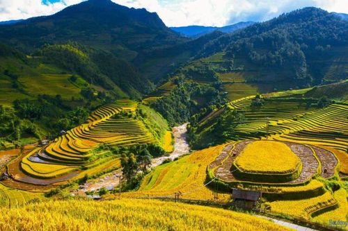 Các điểm check-in 'mùa vàng' siêu hot tại Mù Cang Chải