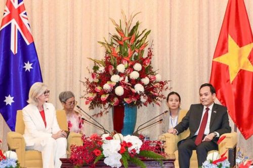 Thành phố Hồ Chí Minh sẵn sàng phát triển dư địa hợp tác với các địa phương Australia