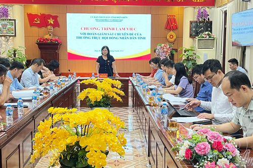 Thường trực HĐND tỉnh giám sát chuyên đề tại Sở Giáo dục và Đào tạo