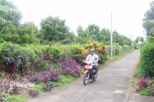 Phú Lâm nghĩa tình