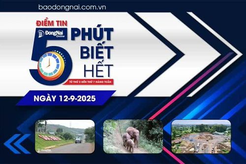 Điểm tin '5 phút biết hết' sáng 12-9: Đồng Nai - UNESCO bàn giải pháp phát triển hạ tầng gắn với bảo tồn thiên nhiên